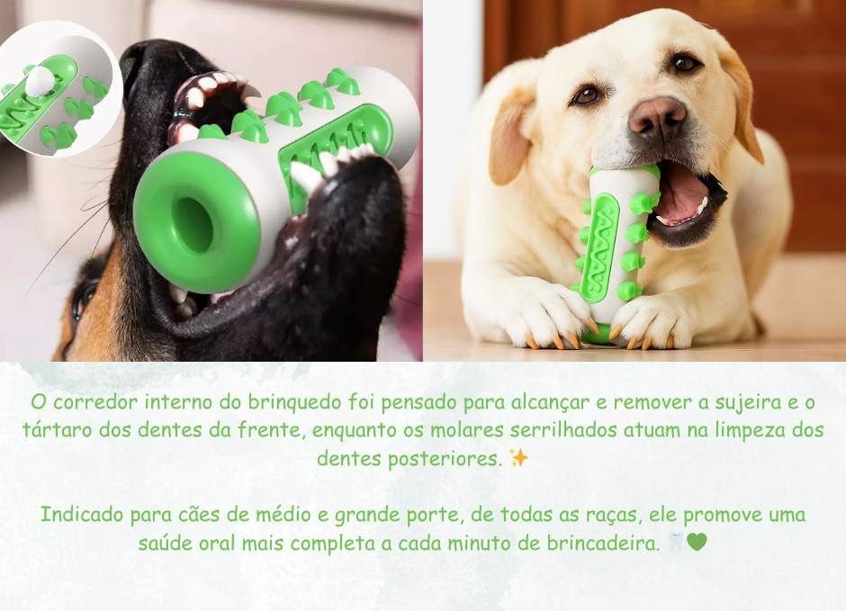 Como usar a escova de mastiga&ccedil;&atilde;o para higiene dental do pet